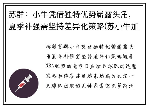 苏群：小牛凭借独特优势崭露头角，夏季补强需坚持差异化策略(苏小牛加盟)
